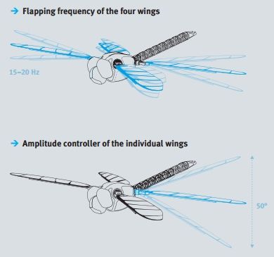 BionicOpter - Robot Libellula = Elicottero + Aereo + Aliante