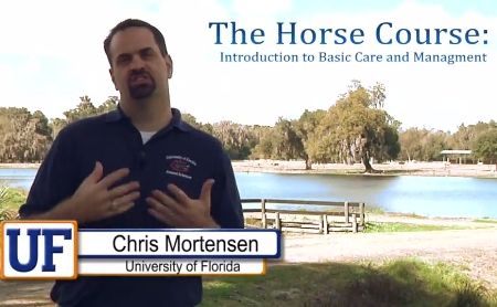 Cavalli: Video Corso Cura e Gestione - Florida University