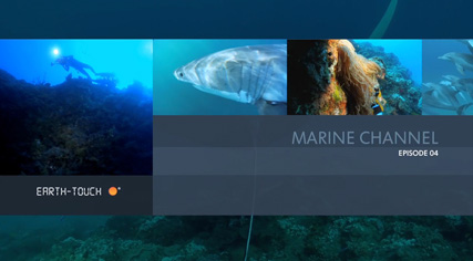 Earth-Touch: Filmati e Video dalla Natura in qualità HD