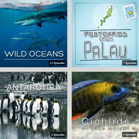 Earth-Touch: Filmati e Video dalla Natura in qualità HD