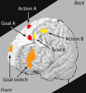 Multitasking e Produttività: Cosa succede nel tuo Cervello