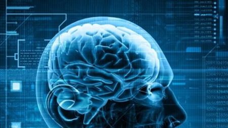NeuroEconomia: Come il Cervello prende le Decisioni - Video Corso