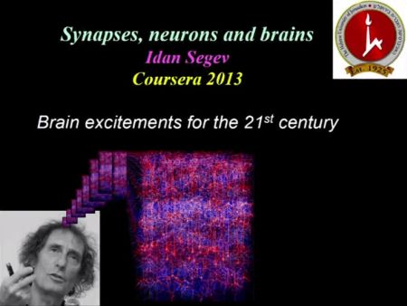 Sinapsi, Neuroni e Cervello: Corso Jerusalem University