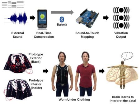 TED Talks - David Eagleman: Possiamo creare nuovi sensi per l'essere umano ?